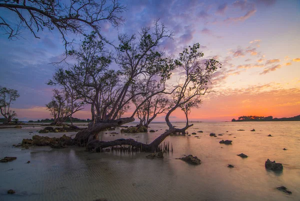 Elyora Barelang Batam Sahilinde Güzel Bir Gün Doğumu Mangrov Ağaçları — Stok fotoğraf