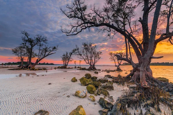 Vacker Soluppgång Stranden Elyora Barelang Batam Mangroveträd Och Korallrev Finns — Stockfoto
