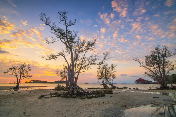 Krásný Východ Slunce Pláži Elyora Barelang Batam Mangrovníky Korálové Útesy — Stock fotografie