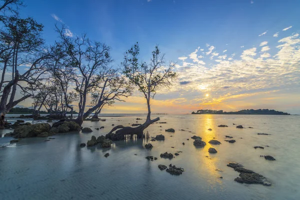 Krásný Východ Slunce Pláži Elyora Barelang Batam Mangrovníky Korálové Útesy — Stock fotografie