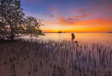 Sembulang Batam balıkçı köyünde, rıhtımda, balıkçı teknelerinde inanılmaz bir gün doğumu.