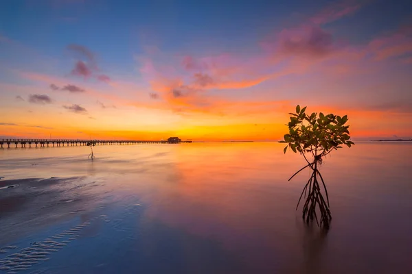 Amazing sunrise at the Sembulang Batam fishing village, the pier  harbor , fishing boats