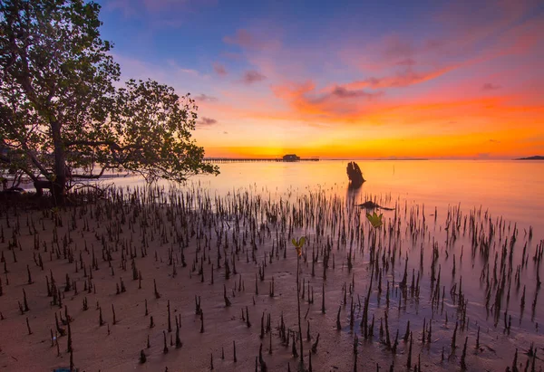 Úžasný Východ Slunce Rybářské Vesnici Sembulang Batam Molo Přístav Rybářské — Stock fotografie