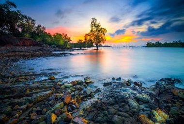 Batam Adası 'ndaki Dangas Sahili aile ve arkadaşlarla seyahat etmek için uygun bir yer.