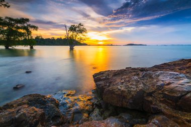 Tanjung Pinggir sahilinde güzel bir gün batımı Barelang Batam, mangrov ağaçları ve mercan resifleri bu sahilde