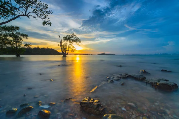 Krásný Západ Slunce Pláži Tanjung Pinggir Barelang Batam Mangrovníky Korálové — Stock fotografie