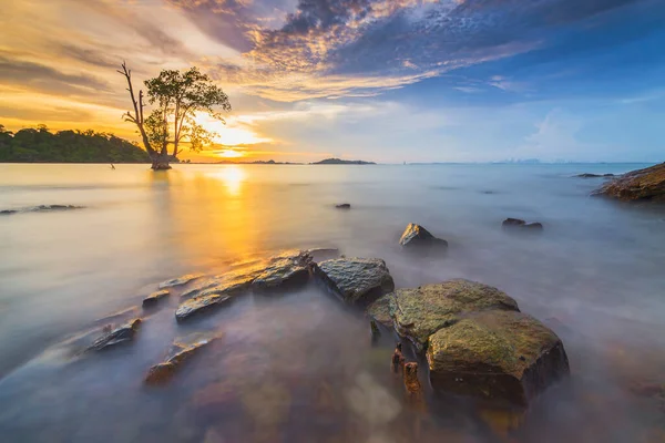 Krásný Západ Slunce Pláži Tanjung Pinggir Barelang Batam Mangrovníky Korálové — Stock fotografie