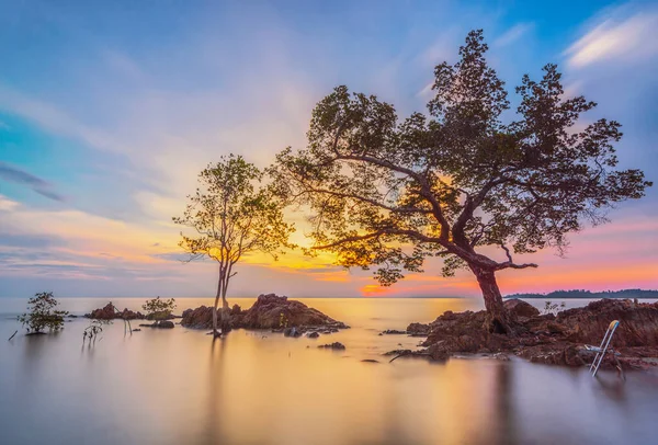 Krásný Východ Slunce Malajském Pobřeží Ostrova Batam — Stock fotografie