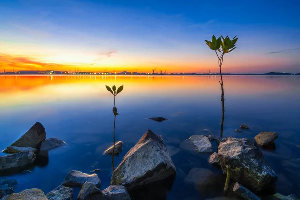 Krásný Západ Slunce Pláži Batam Island — Stock fotografie