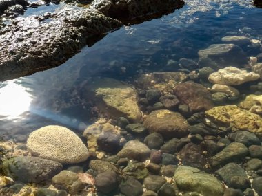 Güzel okyanus ve kumlu sakin su