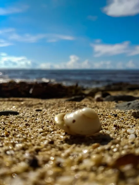 Piękny Ocean Spokojna Woda Piaskiem — Zdjęcie stockowe