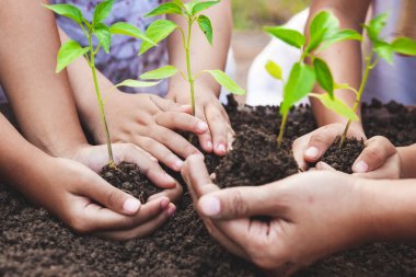 Çocuklar ve ebeveynler, dünyayı kurtarmak için siyah toprağa birlikte ağaç dikmek için el ele tutuşuyorlar.