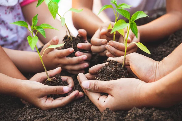 儿童和家长手握幼树 一起种植在黑土上 拯救世界的理念 — 图库照片