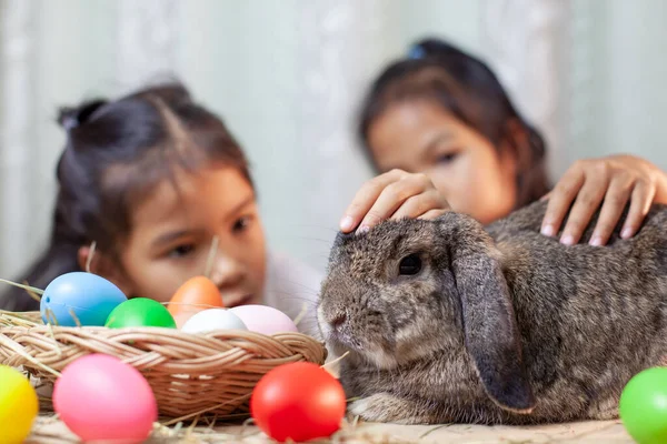 Feliz Asiático Niño Niñas Jugando Con Lindo Holanda Lop Conejo —  Fotos de Stock