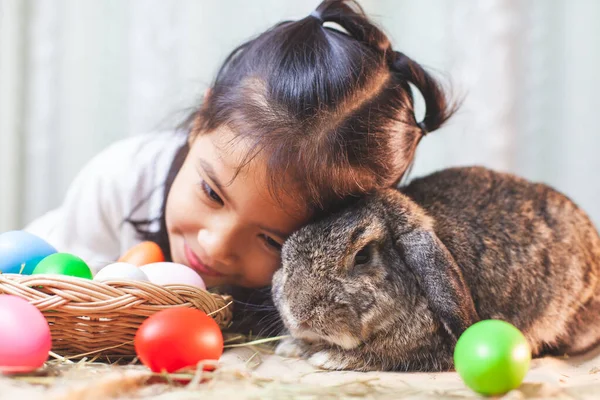 Lindo Asiático Niño Chica Jugando Con Lindo Holanda Lop Conejo —  Fotos de Stock