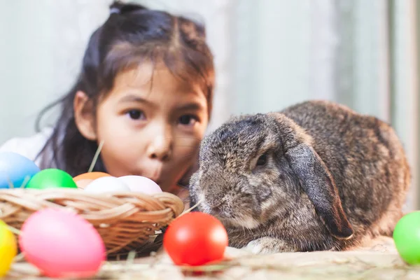 Schattig Aziatisch Kind Meisje Spelen Met Schattig Holland Lop Konijn — Stockfoto