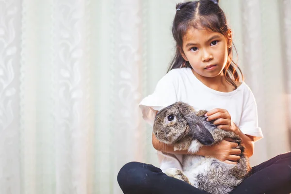 Aranyos Ázsiai Gyermek Lány Hordozó Játszik Aranyos Holland Lop Nyúl — Stock Fotó