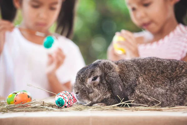 Schattig Holland Lop Konijn Zitten Tafel Met Twee Aziatische Kind — Stockfoto