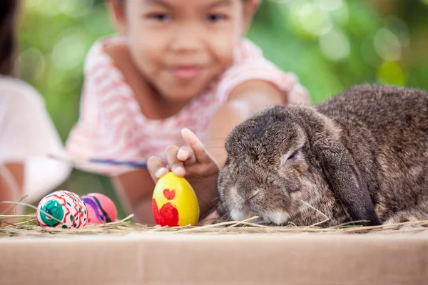 Lindo Holanda Lop Conejo Sentado Mesa Con Asiático Niño Chica —  Fotos de Stock