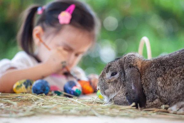 Bonito Holandês Lop Coelho Sentado Mesa Com Ásia Criança Menina — Fotografia de Stock