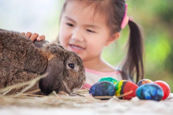 Bonito Ásia Criança Menina Tocar Jogar Com Bonito Holandês Lop — Fotografia de Stock