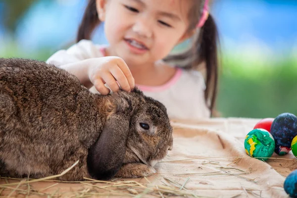 Lindo Asiático Niño Chica Tocando Jugando Con Lindo Holanda Lop —  Fotos de Stock