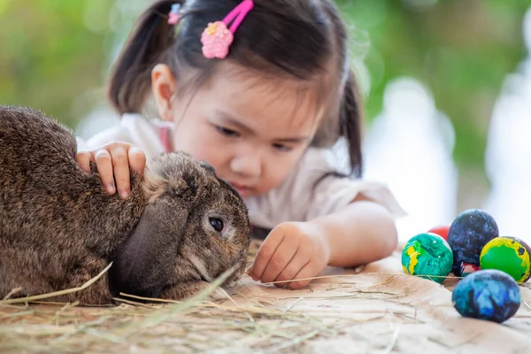 Bonito Ásia Criança Menina Tocar Jogar Com Bonito Holandês Lop — Fotografia de Stock