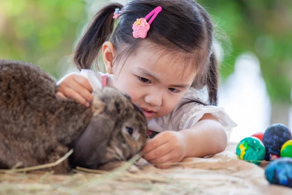 Bonito Ásia Criança Menina Tocar Jogar Com Bonito Holandês Lop — Fotografia de Stock