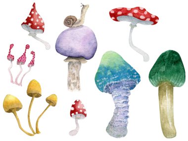 Suluboya elle boyanmış orman mantarları klitorisi seti