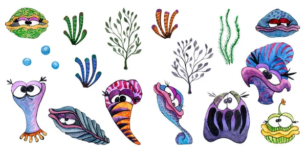 水彩画手绘海底贝类和海藻，背景为白色 — 图库照片