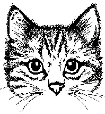 Grafik siyah beyaz kedi yavrusu, örgü desenli süveter.