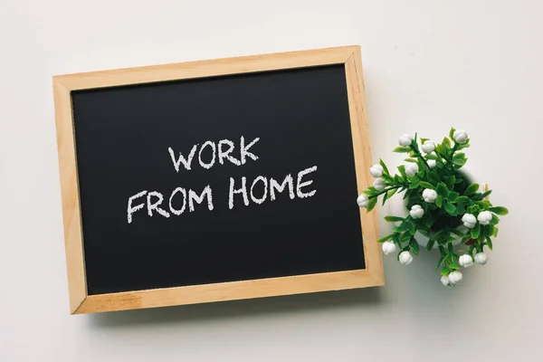 Work Home Text White Chalk Handwriting Blackboard Flower Pot White — ストック写真