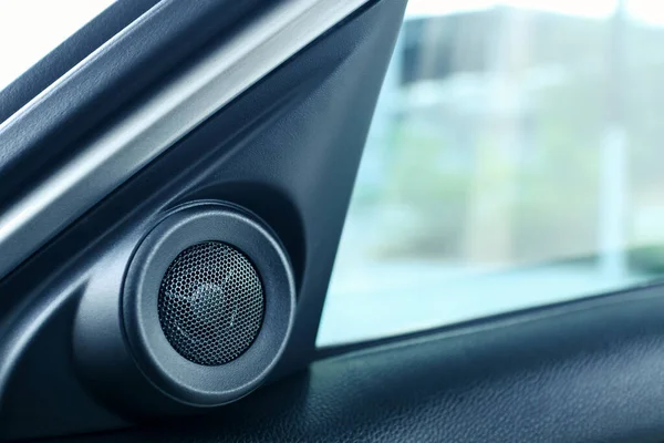 Interior Side Door Speaker Modern Car Tweeter Audio Sound System — Stock Photo, Image