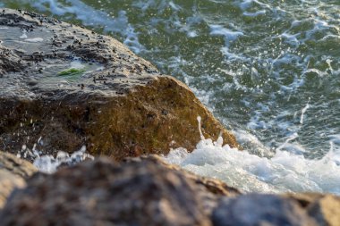 Deniz dalgaları kayalara çarpıyor, eski film efektleri.