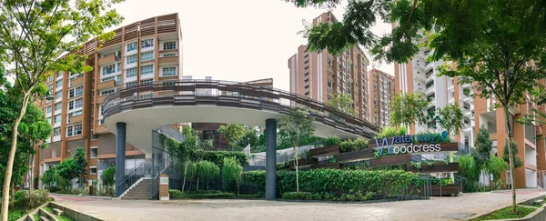 Vista Panorámica Singapore Public Housing Apartments Punggol District Singapur Junta — Foto de Stock