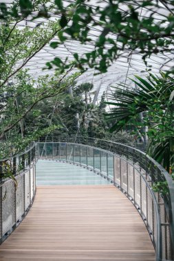 Jewel Changi Havaalanı 'ndaki Canopy Park' ın tepe örtüsü köprüsü. Köprü 50 metre uzunluğunda, yer seviyesinden 23 metre yukarıda asılı ve orta kısımda en iyi görüntü için yarı saydam cam paneller bulunuyor.