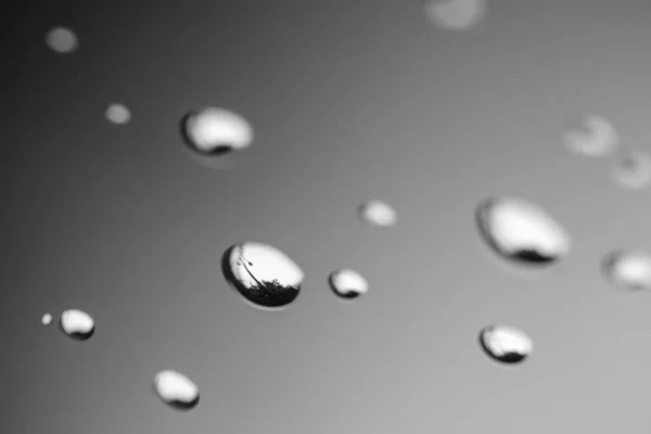 Abstract Water Drops Plain Background Black White Photography Shallow Depth — Stock Photo, Image