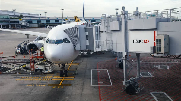 Singapur 'daki Changi havaalanında kargo yükleniyor. Changi havaalanı dünyanın en yoğun havaalanıdır ve Asya 'nın en iyi havaalanıdır..