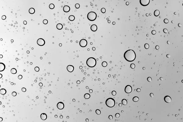 Abstract Water Drops Plain Background Black White Photography — Stock Photo, Image