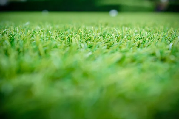 Iarbă Verde Artificială Pentru Fundal Adâncime Superficială Câmpului — Fotografie, imagine de stoc