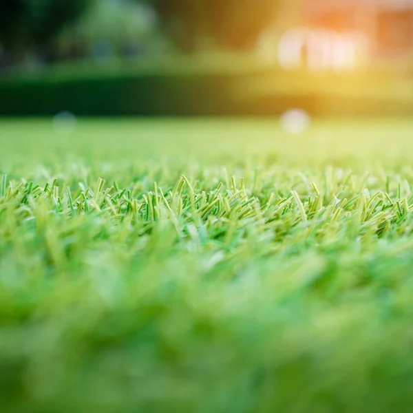 Grama Verde Artificial Com Efeito Luz Solar Para Fundo Profundidade — Fotografia de Stock