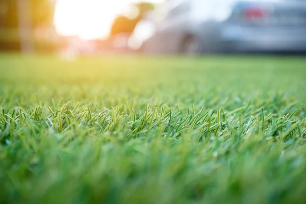 Fond Gazon Vert Champ Gazon Artificiel Pour Décoration Parking Avec — Photo