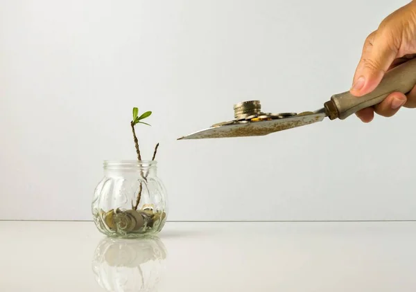 Yarısı ölü bitkilerle dolu cam kavanoza madeni para döken mala. Ekonomik canlandırma paketleri kriz sırasında hükümet tarafından veya mali yardım olarak Covid-19 tarafından.