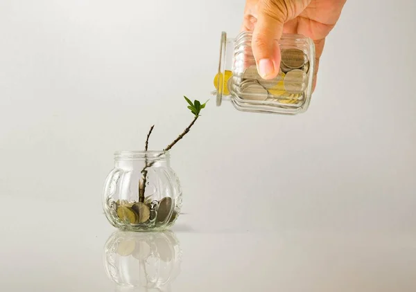 Başka bir kavanozdan para döküyorum. Kriz veya Covid-19 döneminde hükümetin ekonomik teşviklerinin kavramsal finansal yardımı. Yarım yamalak bitkilerle dolu bir kavanozda bozuk paralar. Masadaki kavanoza odaklan.