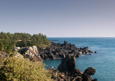 Mavi denize giden arka kayalık deniz kenarını hayal edin. Jusangjeolidae diye bir yer, Jeju Adası Güney Kore. Arka planda mavi gökyüzü ile kış öncesi sezon.