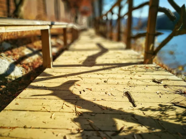 Güney Kore 'de deniz kenarındaki Nami Adası' nda tahta yayalar bulanık arkaplanlı, diz hizasında yakalanmış, yerde ağaçların gölgesi var.