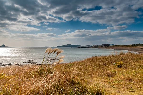 Yongmoeri Hean, Jeju Güney Kore 'de deniz manzarası ve deniz manzarası ön planda..