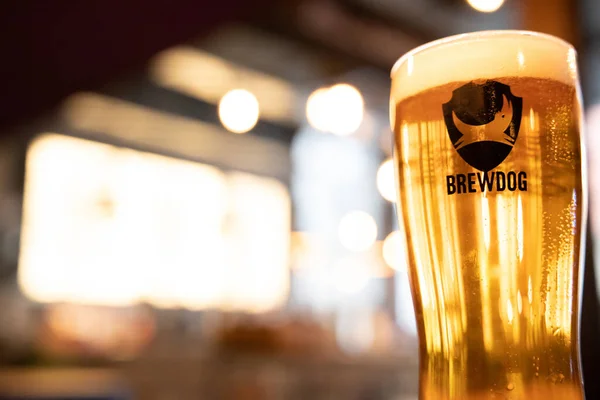 Newcastle on Tyne / UK - 8 Ocak 2020: Brewdog Punk IPA bira birası