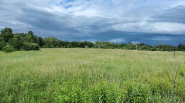 Çayırların manzarası ve bulutlu gökyüzü.