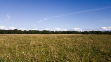 Güneşli bir günde, ufukta kıvrımlı bulutlar olan bir yaz arazisi..